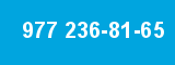 977 236-81-65
